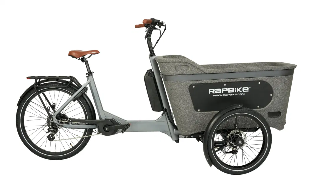 Carrying Children 20/26 Inch Inverted Three Wheels MID Motor Electric Tricycle Cargo Ebike At005