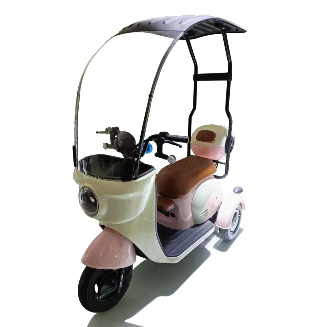 Colors 3 Wheel Motorized Adult Small Electric Tricycle for Philippines