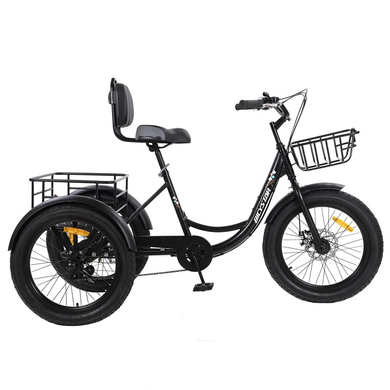 Cargo Tricycle with Cabin Triciclo PARA Adultos Drift Trike Battery Tuk E Rickshaw Adult Tricycle