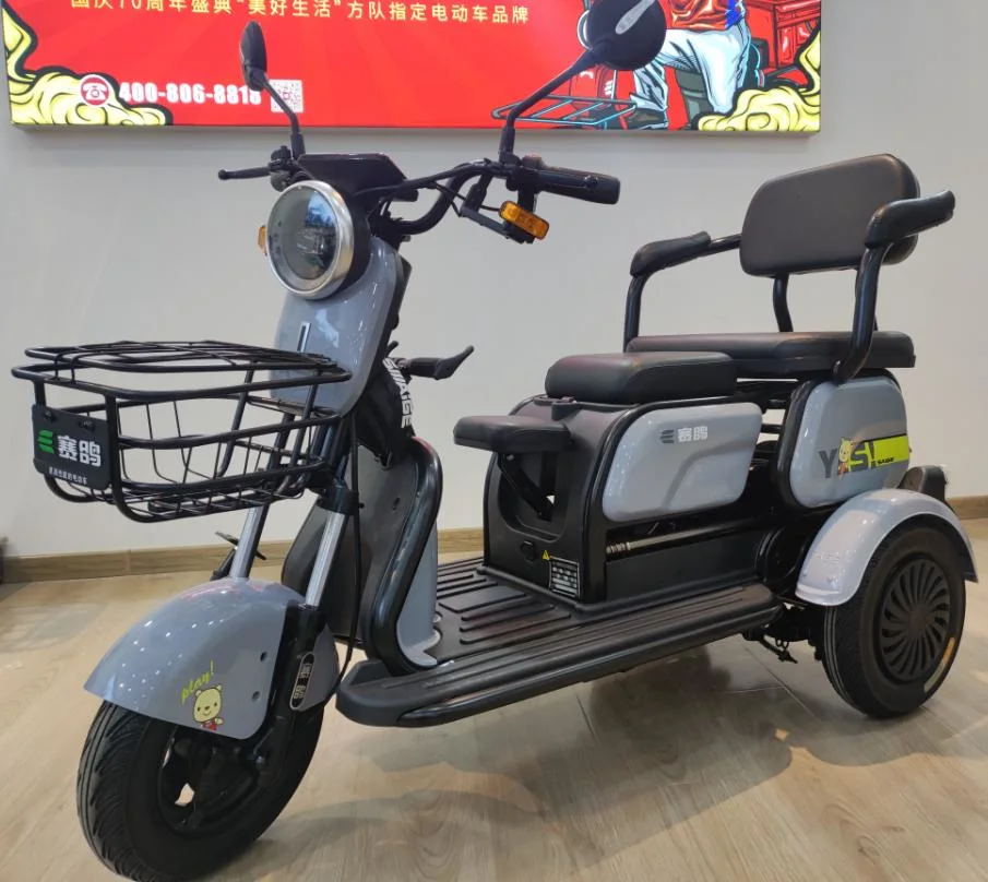 Saige Electric Elderly Tricycle with 500W Motor and Reverse Gear