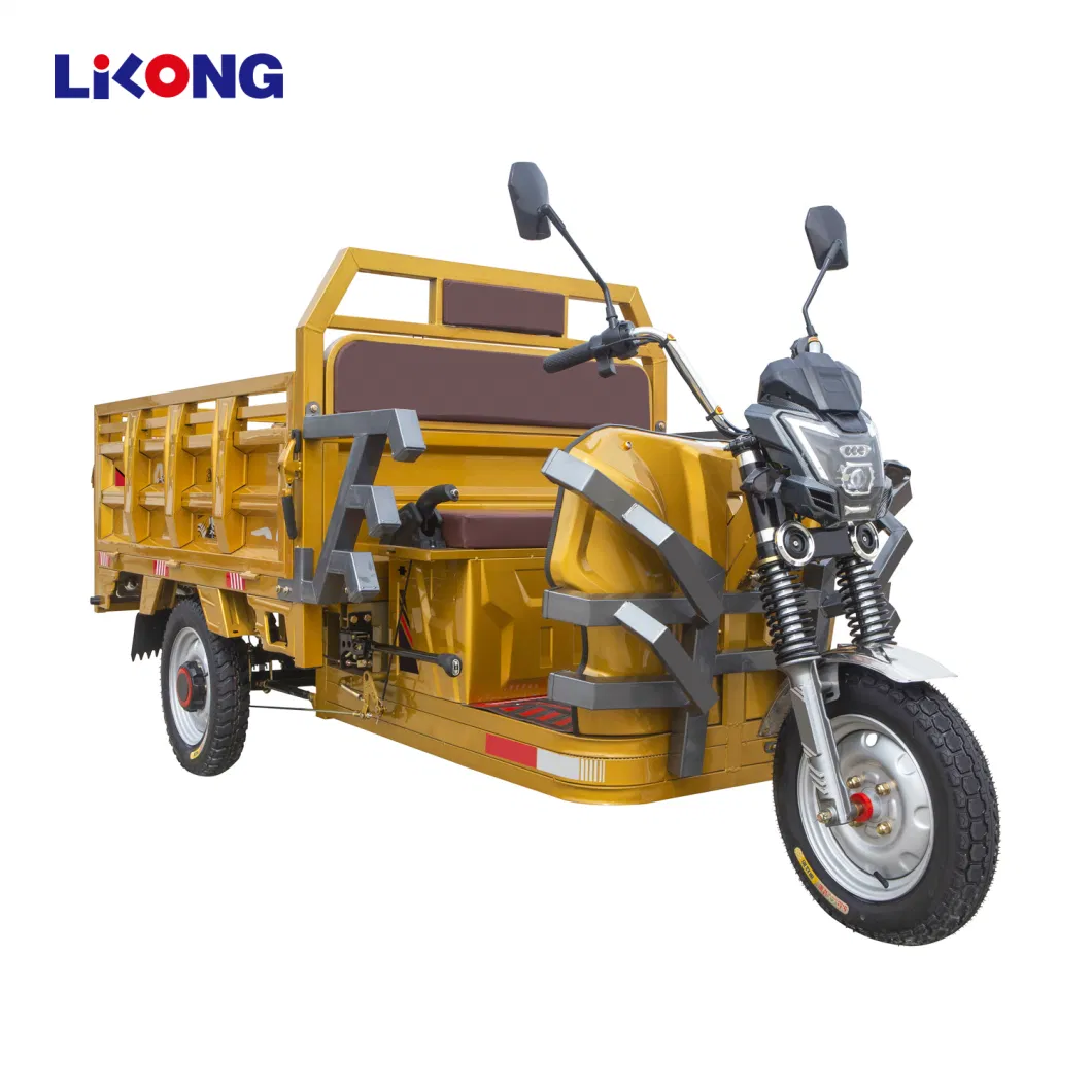 Top Quality Supplier Full E Drift Tricycle Folding Electric Trikes Electric Reverse Trike for Seniors