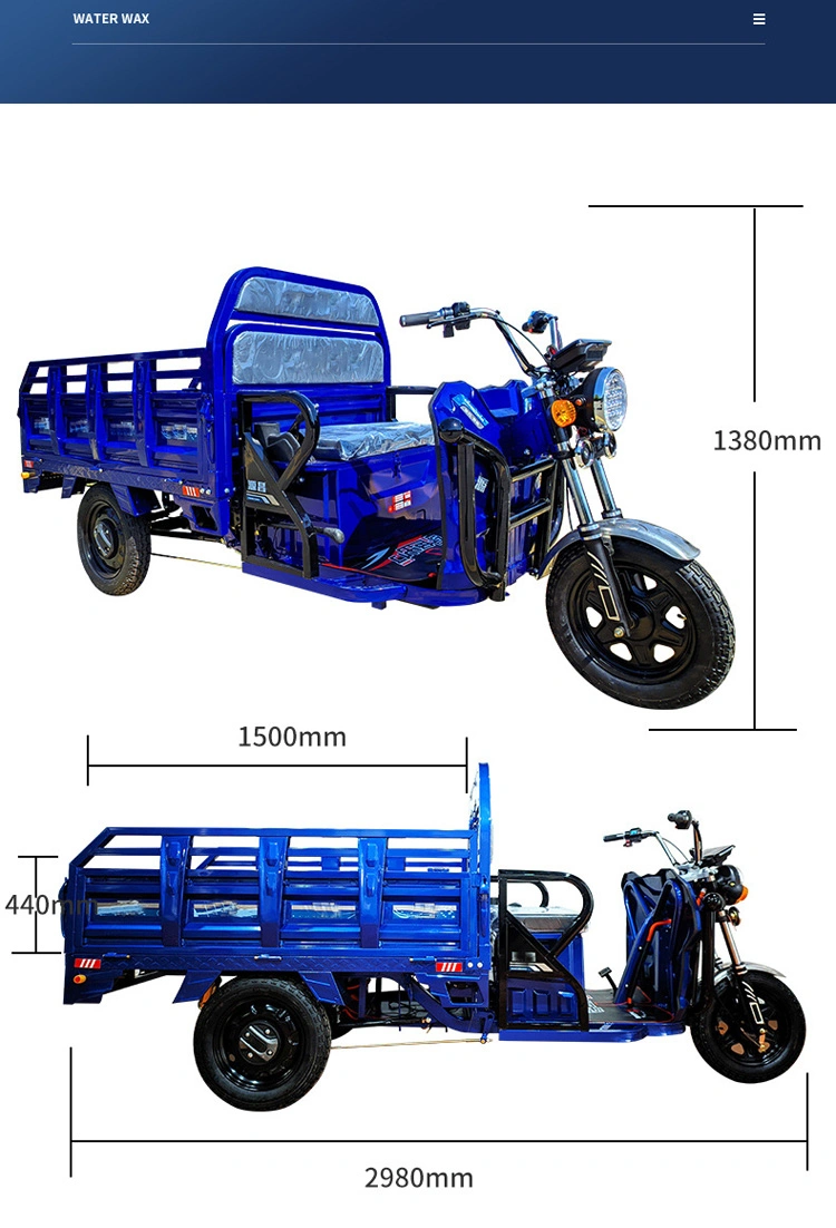 1000W Long Distance Electric Rickshaw Cargo Tricycle (CT-001)