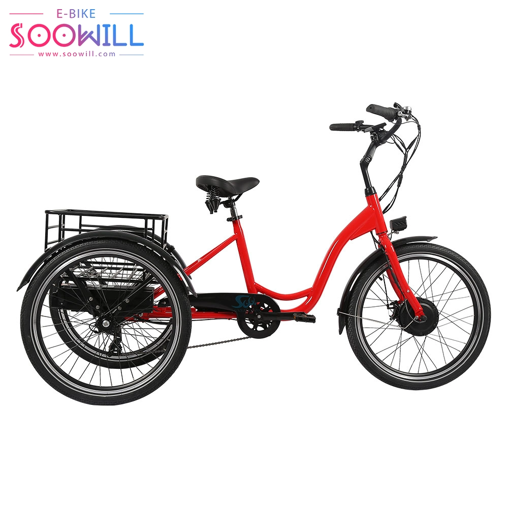 Factory Folding Adult Bike Roof Electric Enclosed Tricycles at Good Price