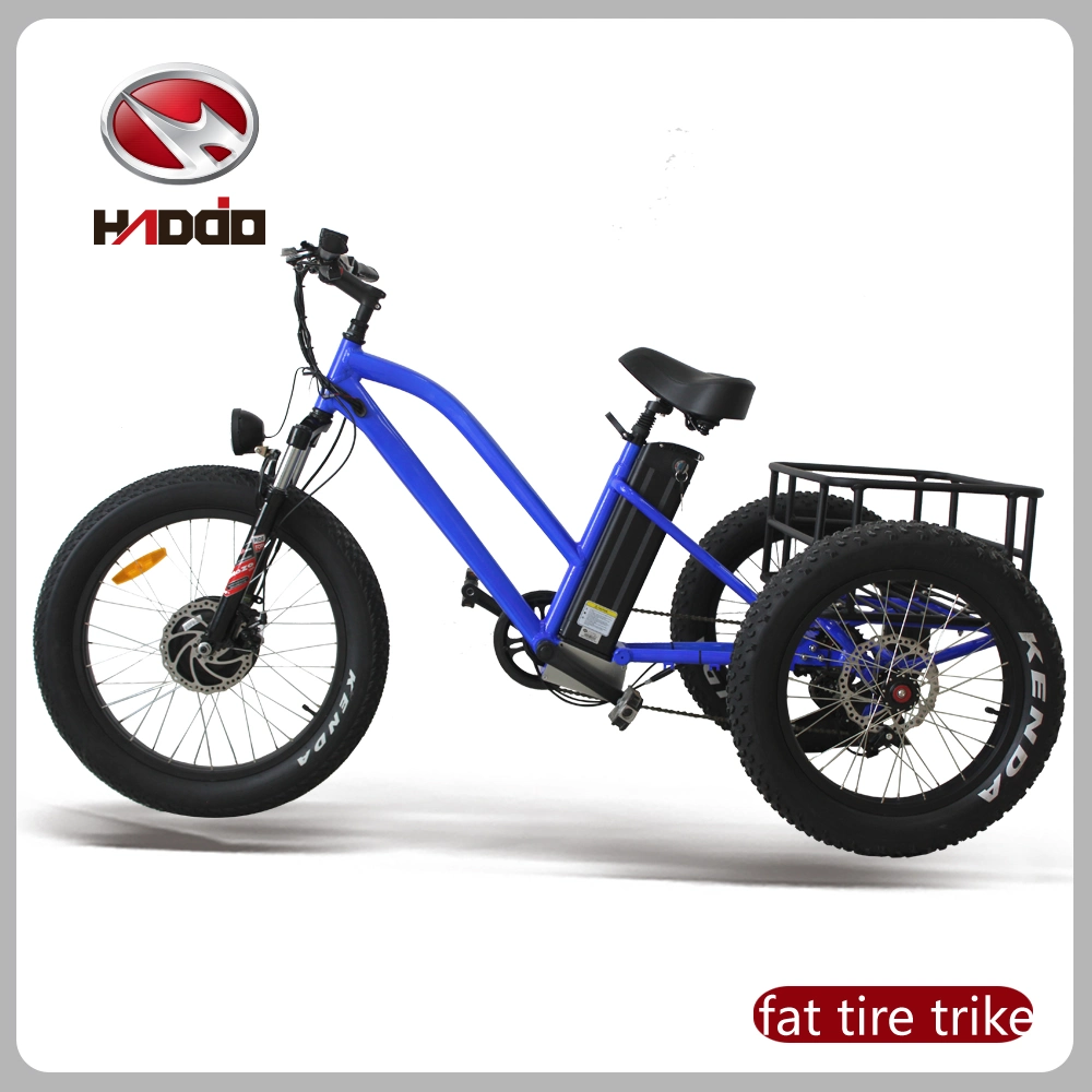 20 Inch 500W Fat Tire Mountain Electric Tricycle for Adult