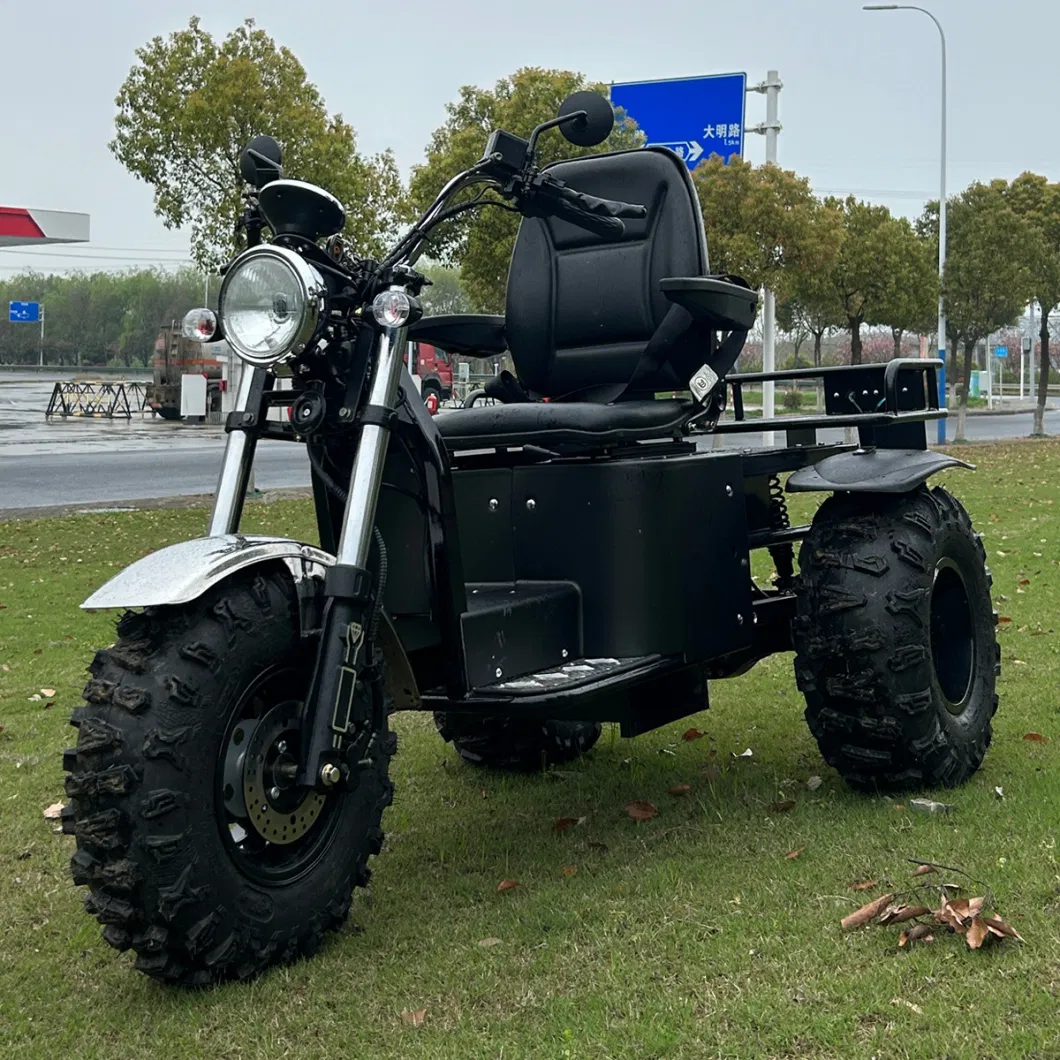 All Terrain Electric Scooter 3 Wheel Motorcycle for Mutilated