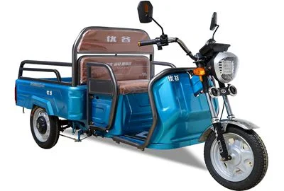 High Quality Passenger Tricycle Triciclo Electrico Closed Tricycle Electric Rickshaw for Elder