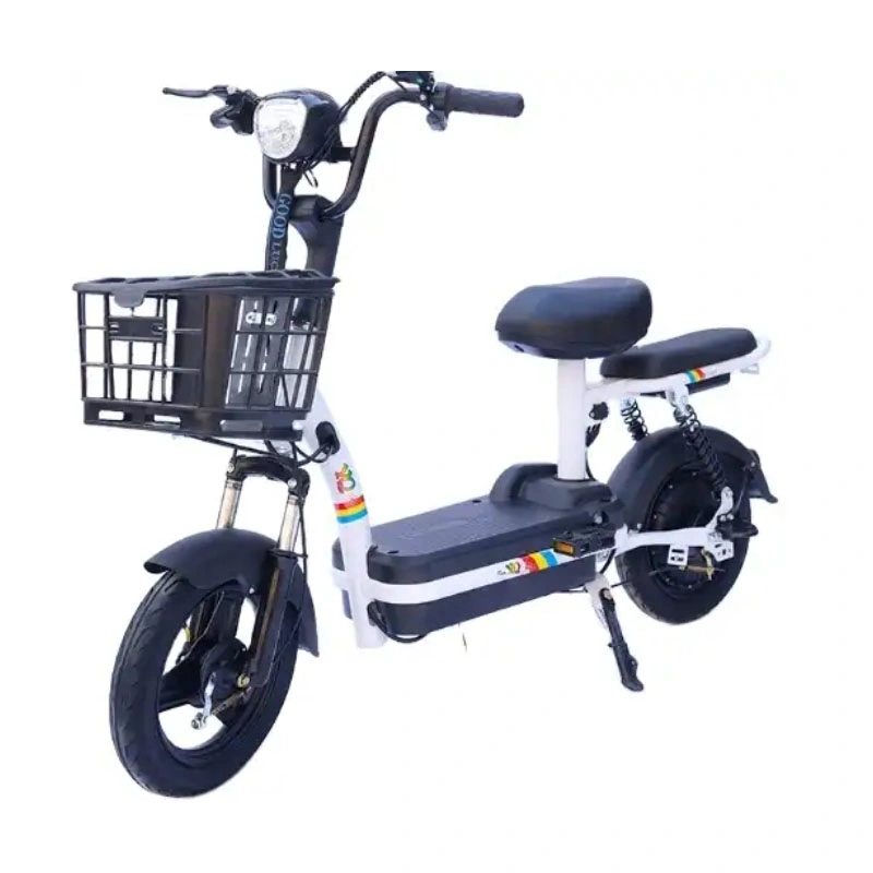 New Bike Motor Wheel Price Light Recumbent DIY Model Dutch Style 72V Used Hub 200 Kg Load Three Brazil 120km 3 Electric Bicycle