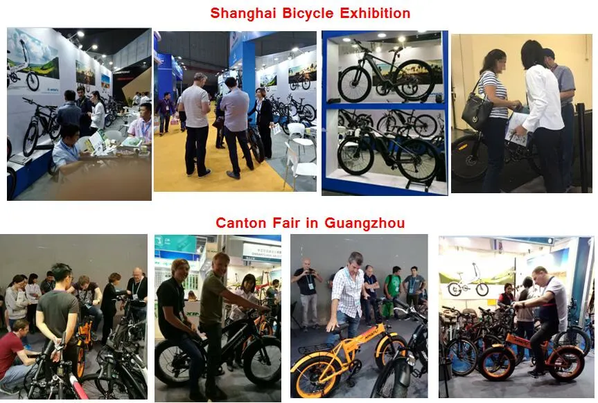 48V 500W Fat Tire 3 Wheel Cargo Electric Tricycle for Canada Market