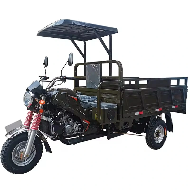 China Manufacture Air Cooled Gasoline Cargo Tricycle High Performance Motorized Tricycle Motorcycle Cargo Bike for Sale