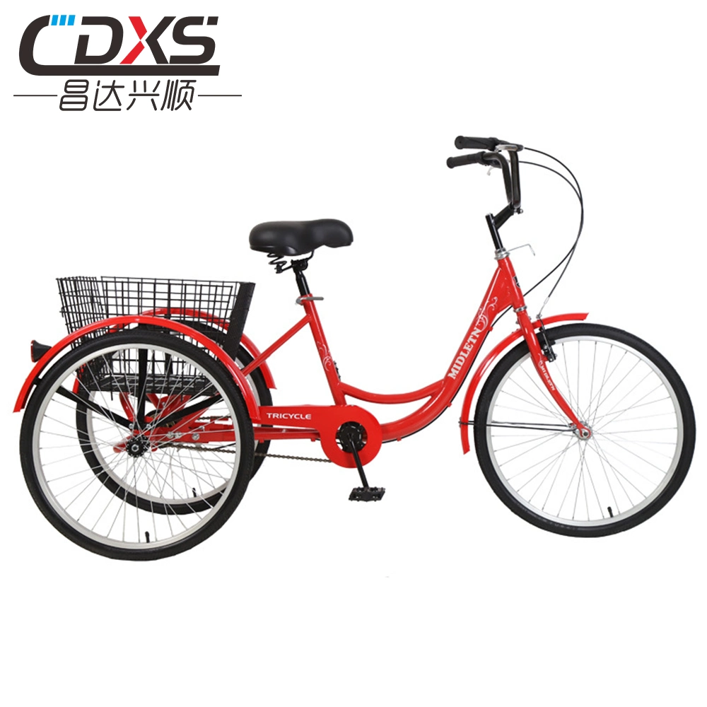 Convenient Mobility Trike with Parking Function