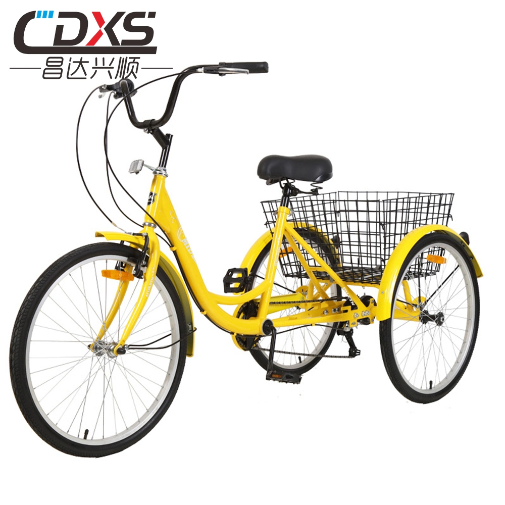 Convenient Mobility Trike with Parking Function