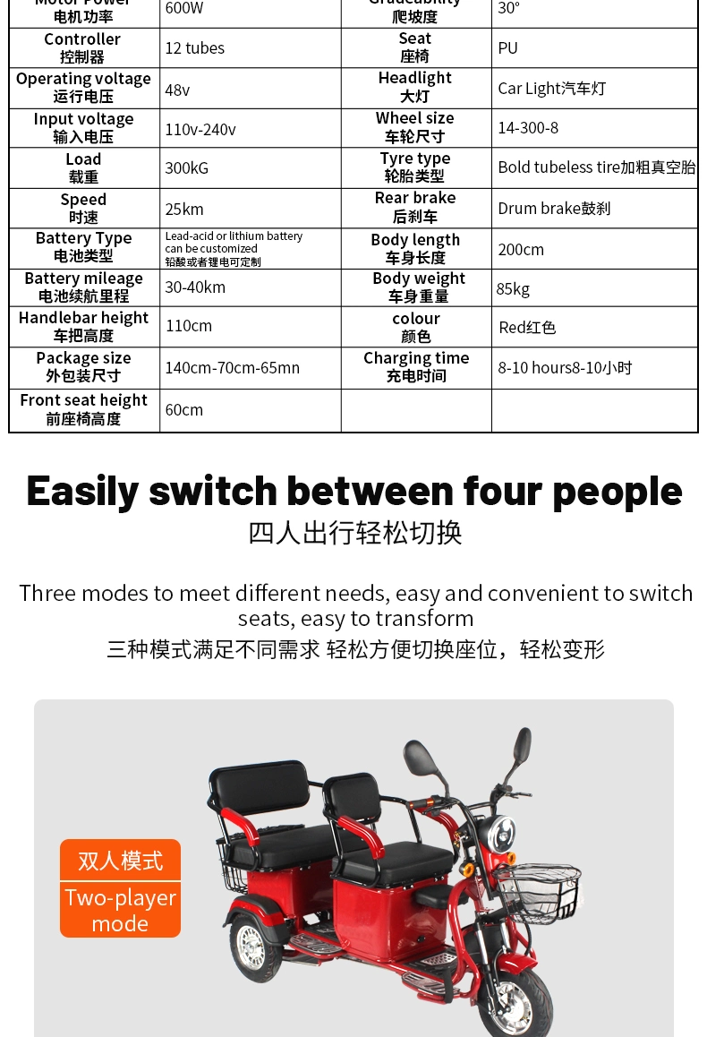 Adult Electric Tricycle with Hidden Battery