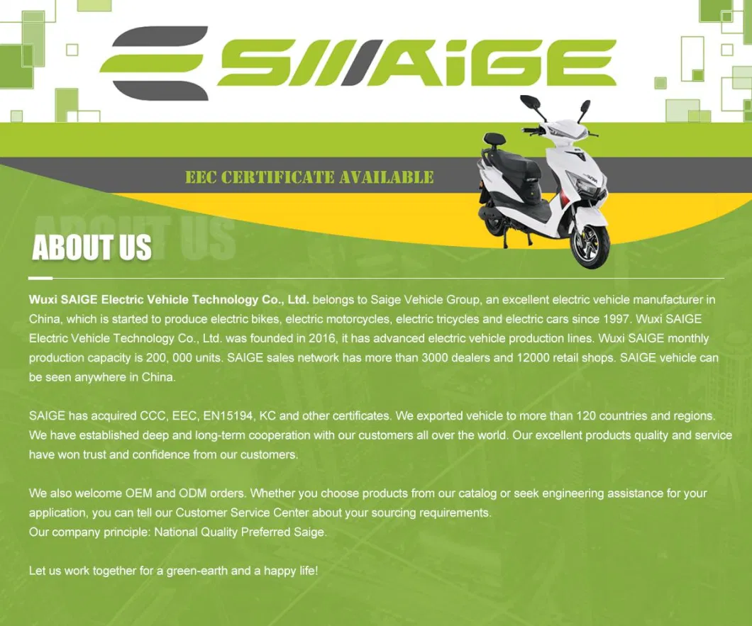 Saige EEC Rear Disk 1000W30h Motor Electric Motorcycle Bike