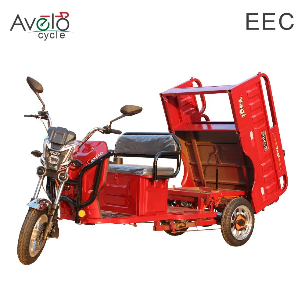 New Fat Tire Adult 3 Wheel Cargo 1200W 72V/32ah Lead-Acid Battery Electric Tricycle