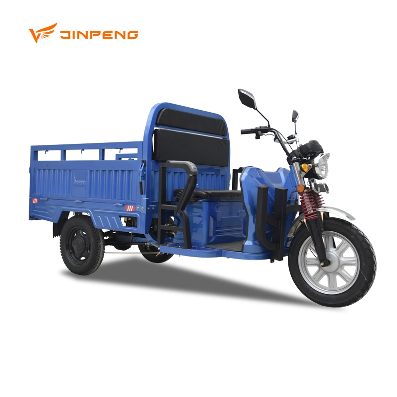 Adult Electric Cargo Trike Vehicle Electric High Power Tricycle for Seniors