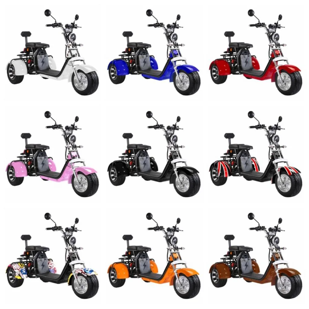 2000W 20ah Fat Tire Electric Tricycle Removable Battery Three Wheel Electric Scooter Motorcycle City Coco