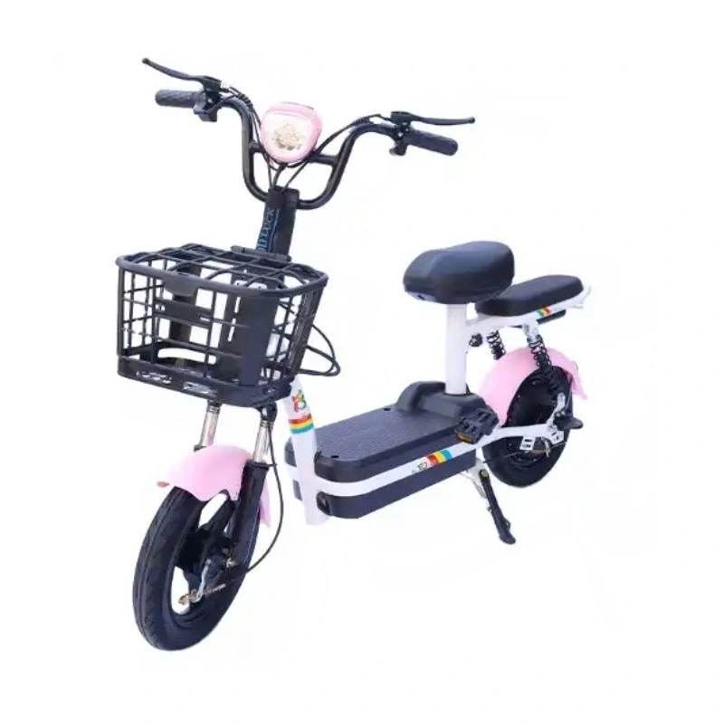 New Bike Motor Wheel Price Light Recumbent DIY Model Dutch Style 72V Used Hub 200 Kg Load Three Brazil 120km 3 Electric Bicycle