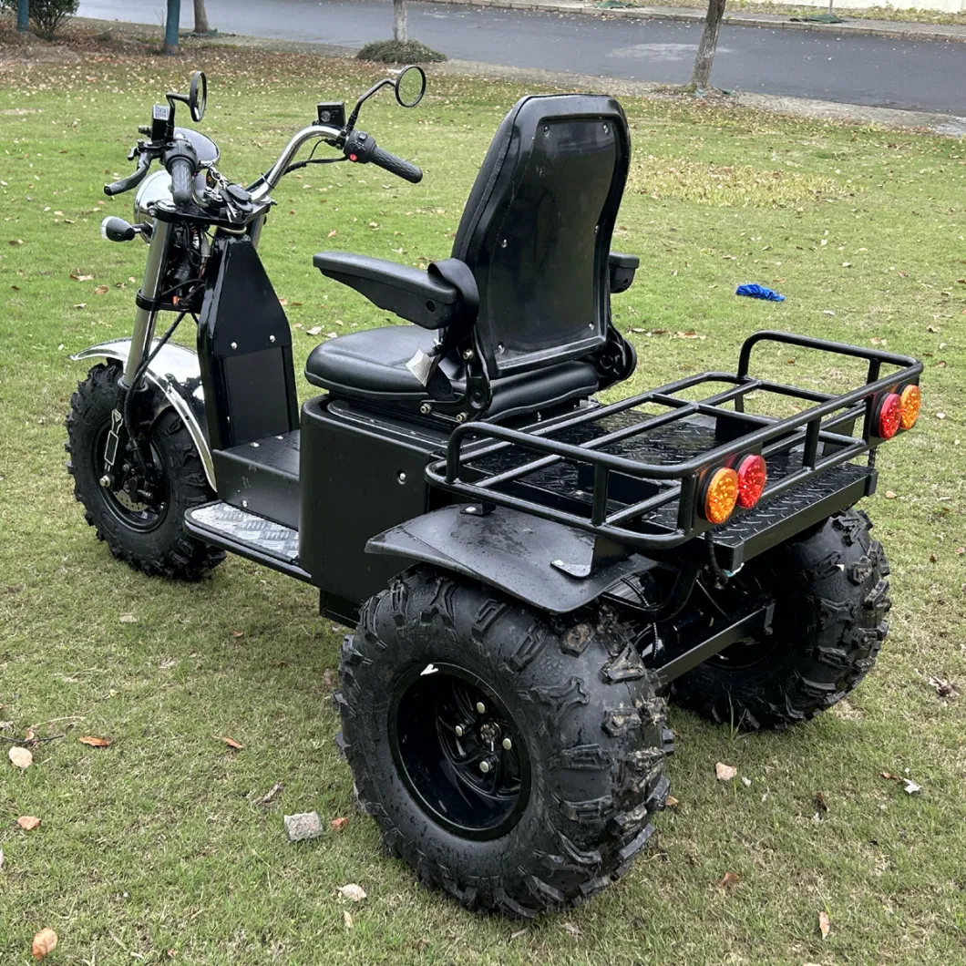 All Terrain Electric Scooter 3 Wheel Motorcycle for Mutilated