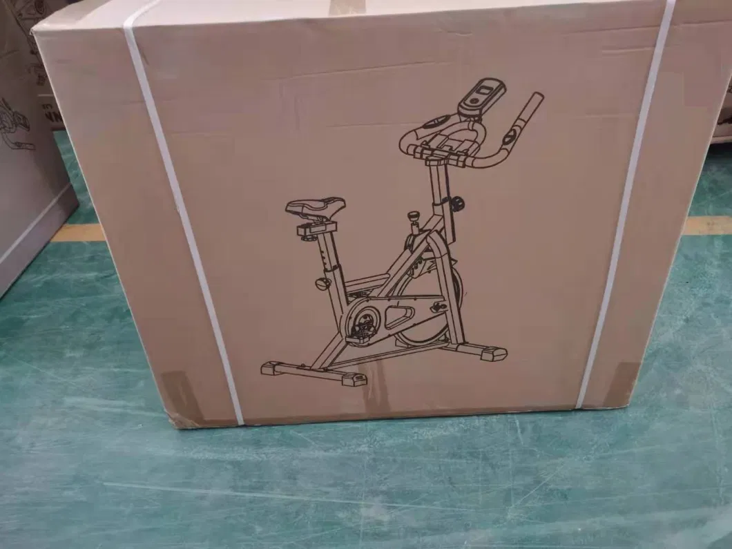 2024 Fitness/Exercise/Recumbent /Spinning/Pms/EMS/Gym Equipment Bike