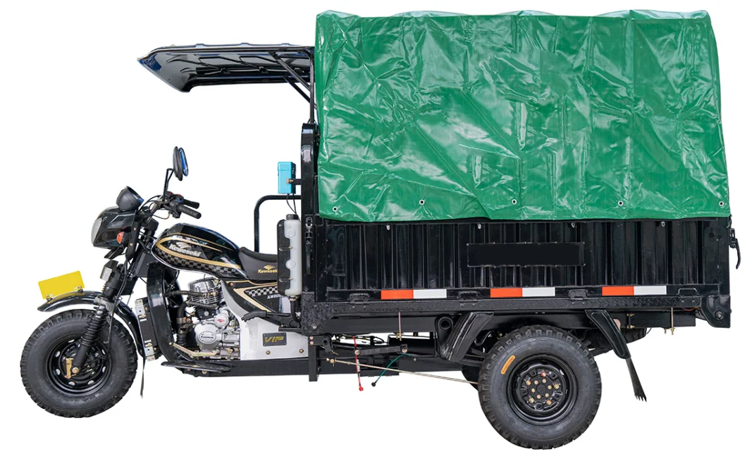 China Manufacture Big Carriage High Quality Carry Cargo Gas Motorized Adult Tricycle