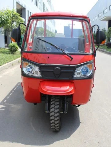 China Manufacture Big Carriage High Quality Carry Cargo Gas Motorized Adult Tricycle