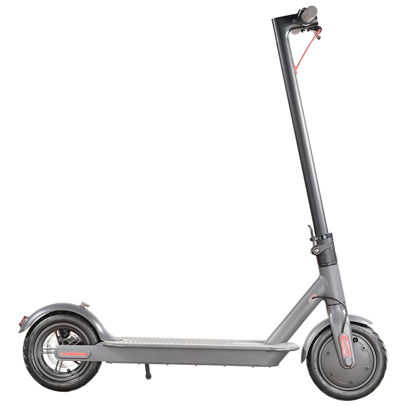 Best Mobility Electric Tricycle for All Ages