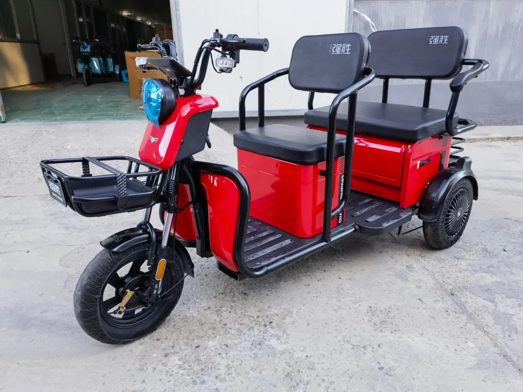 Best Three 3 Wheeled E Tricycle China for Picnic Leisure Seniors Family Disabilities Use