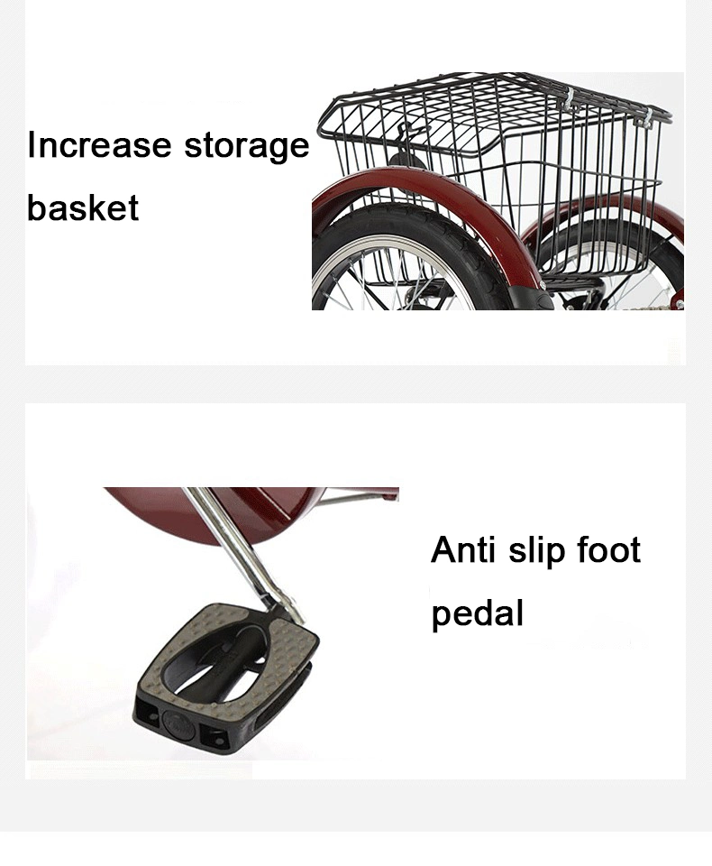 Portable Electric Tricycle with Stabilizing Frame