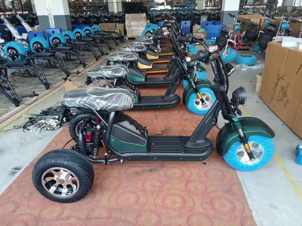 Unfolding 2000W Electric Tricycle 60V 20ah Motorized Tricycles for Disabled and Adults Tricycle Electric Bike