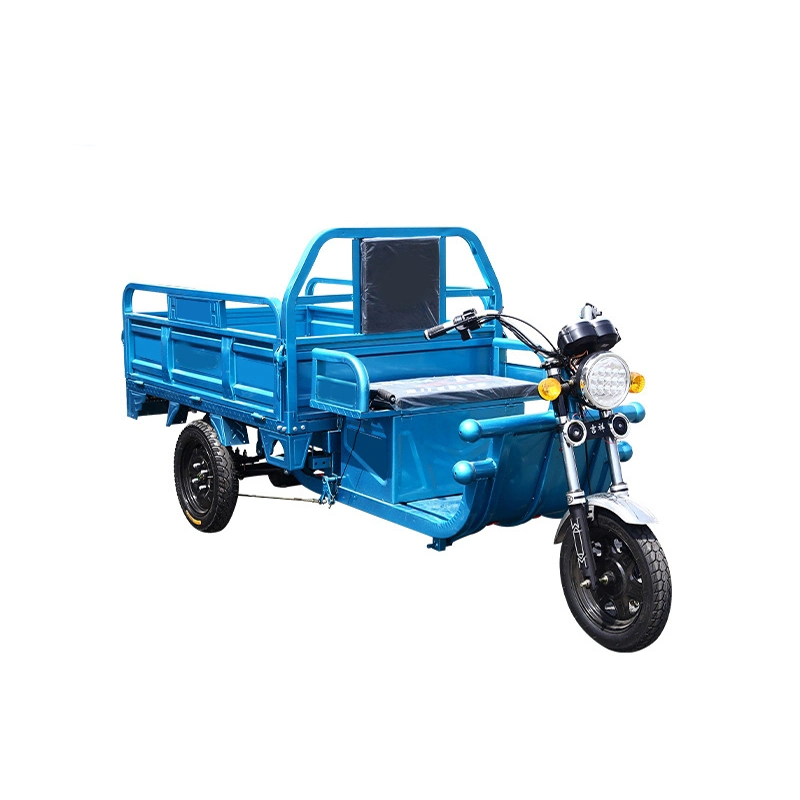 Customized Difference Size for Electric Cargo Tricycle with Wholesale Price