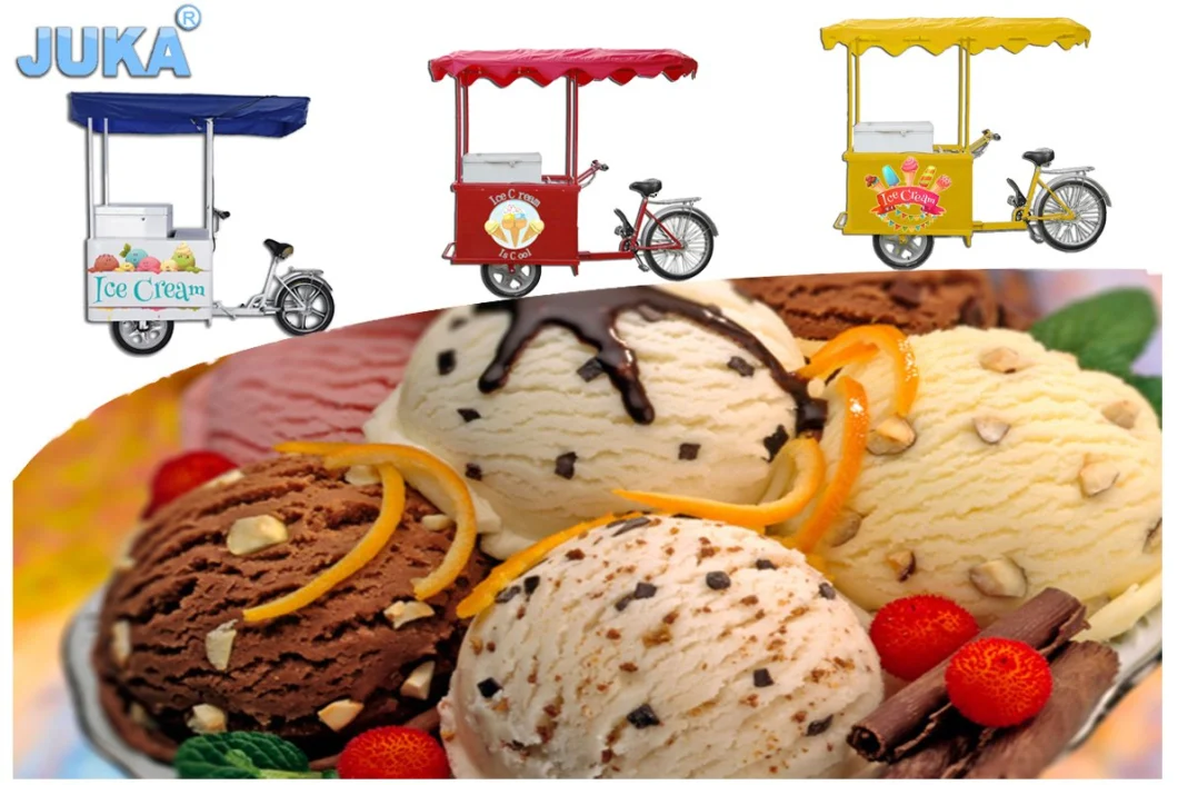 Ice Cream Bike Cart with Freezer Electric Tricycles