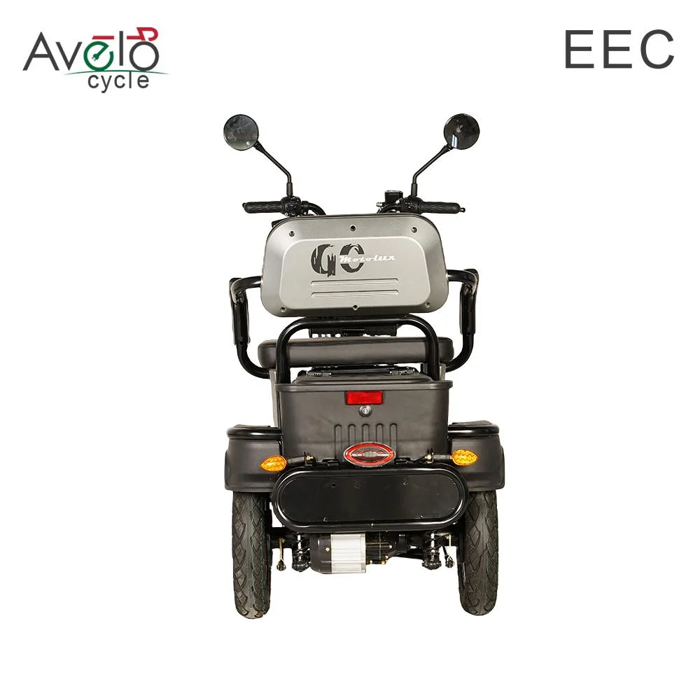 Mini 60V 1600W Mobility Scooter Old Man The Disabled Friendly Disc Brake Electric Tricycle