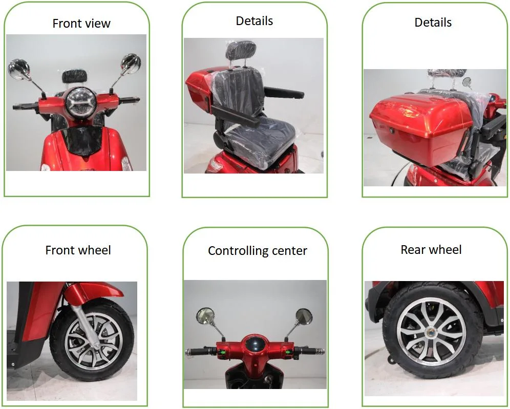 Fat Tire 3 Wheel 650W 60V 20ah Lead Acid Battery Motor Adult Powered Tricycles Powered Electric Trike for Elderly Leisure Passenger with Rear Box