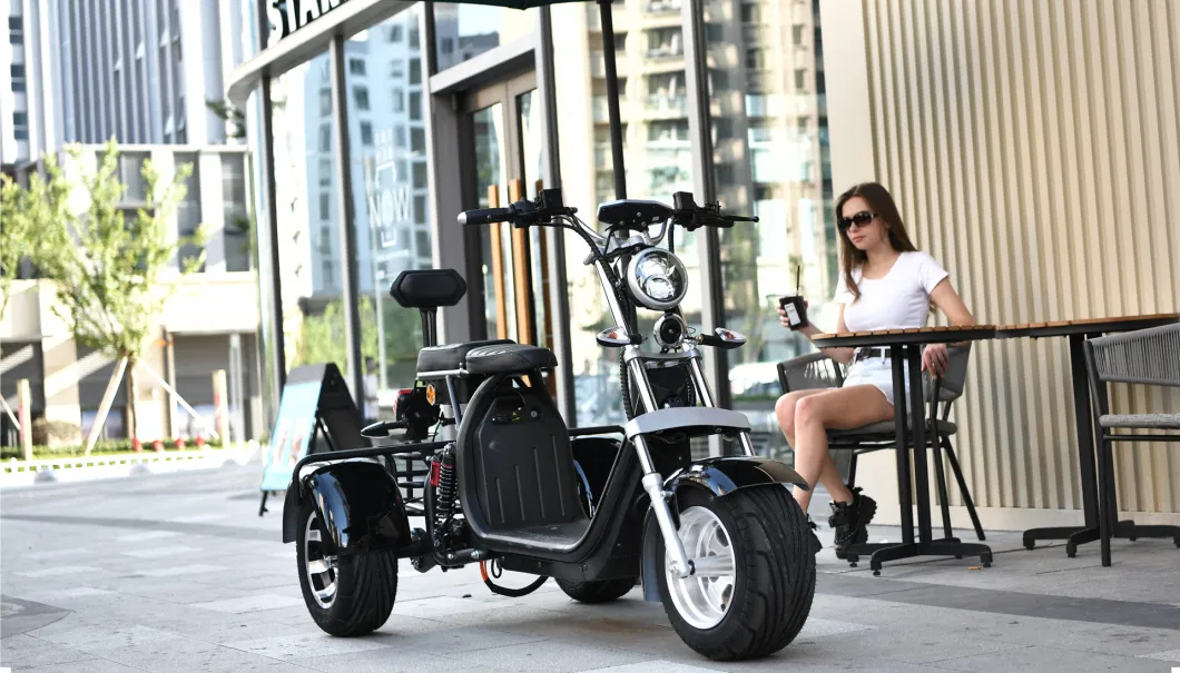 2000W 20ah Fat Tire Electric Tricycle Removable Battery Three Wheel Electric Scooter Motorcycle City Coco