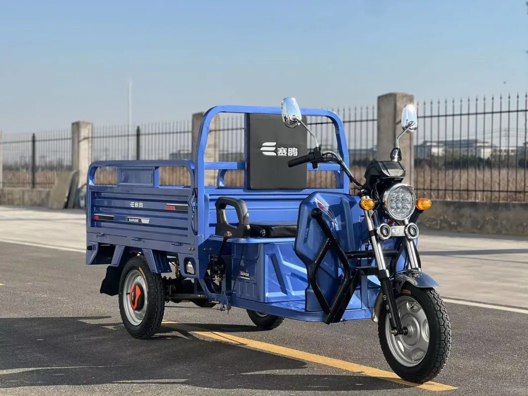 48V60V Cargo Tricycle with EEC Coc Europe and Asia Best-Selling Electric Tricycle for Farmer Adults with Lead-Acid Battery and Rechargeable