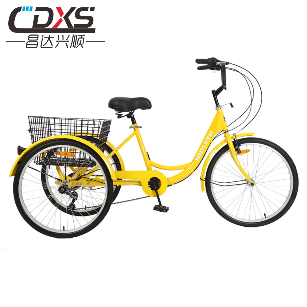 Convenient Mobility Trike with Parking Function