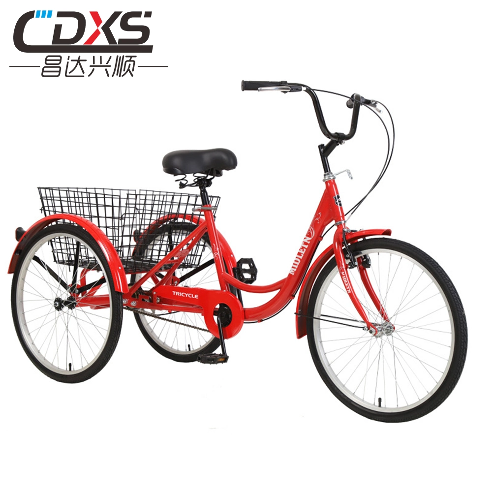 Convenient Mobility Trike with Parking Function