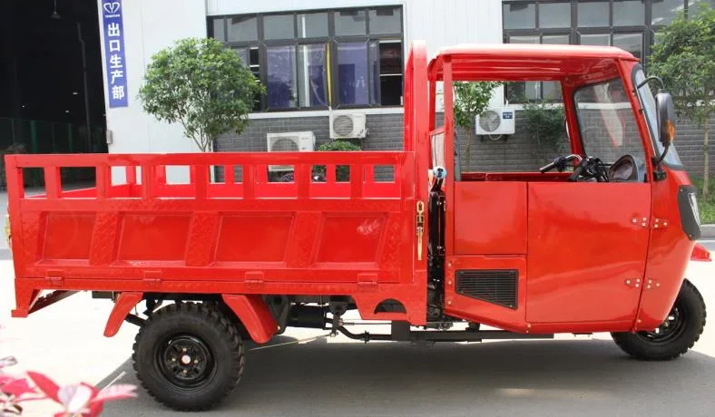 China Manufacture Big Carriage High Quality Carry Cargo Gas Motorized Adult Tricycle