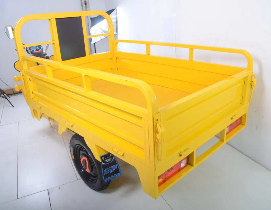 Cargo Delivery South Africa Tricycle Cargo Electric Motorized Tricycles for Adults