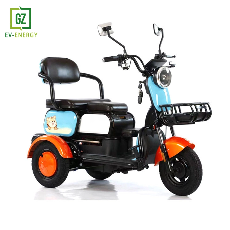 Small Electric Tricycle for Home