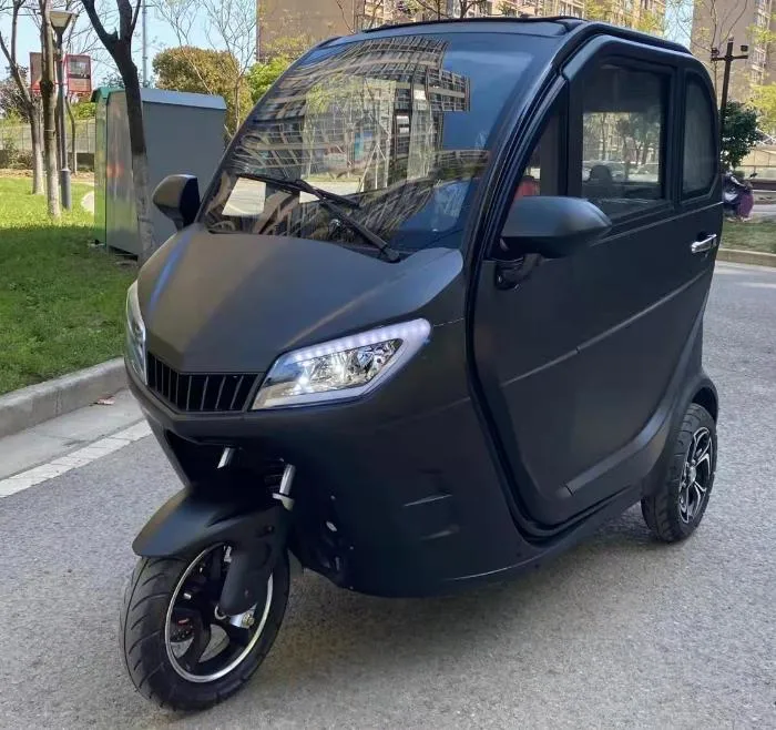 Electric Tricycle with Passenger Seat