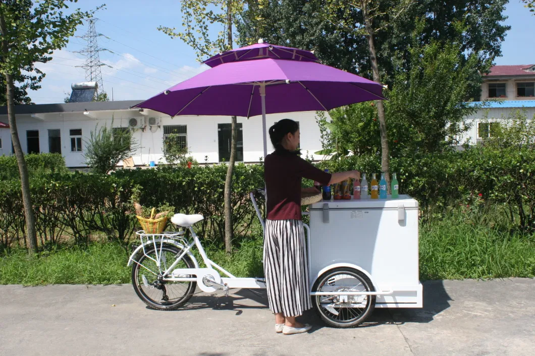 Front Load Ice Cream Electric Tricycle 2021 Trends Cargo Bike with High Quality Freezer for Sale Wholesale Price