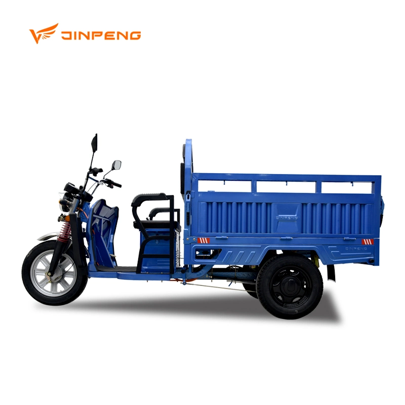 Adult Electric Cargo Trike Vehicle Electric High Power Tricycle for Seniors