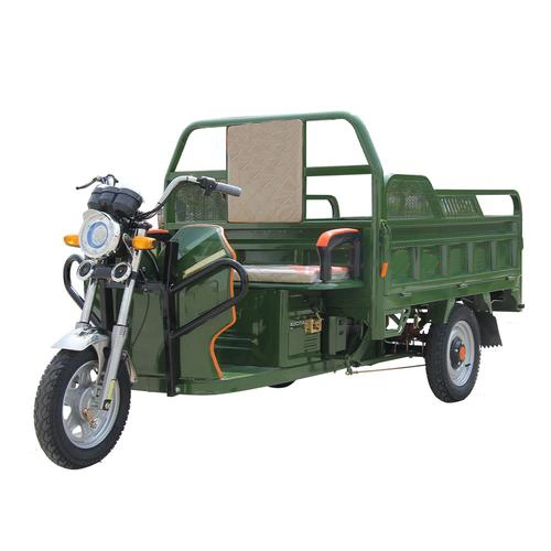 Wholesaler Adults 750W/500W 3 Wheel Car Cargo Electric Chinese Electric Tricycle Fat Tire Electric Tricycle