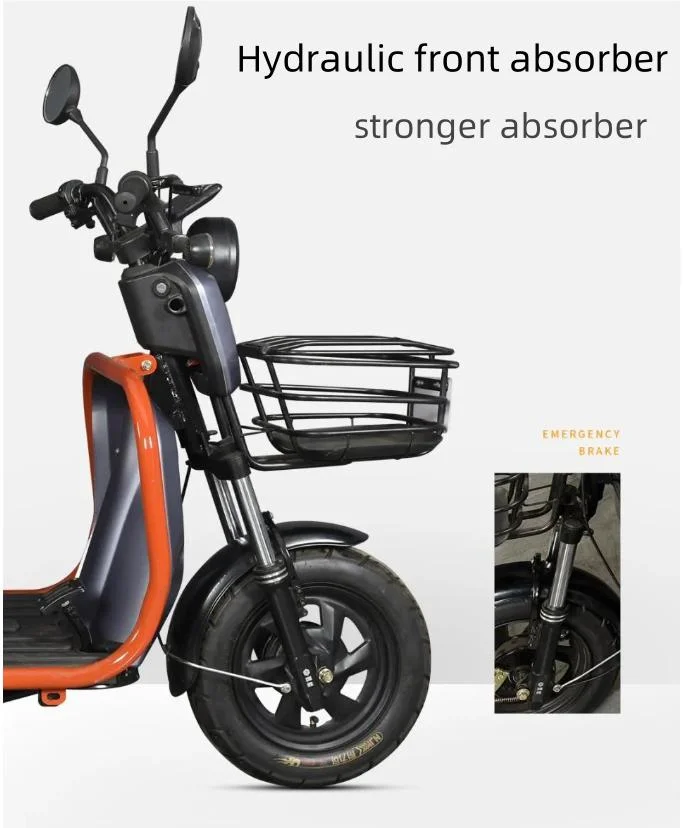 Foldable Electric Tricycle Smaller Electric Ebike Affordable Ebike for Sale