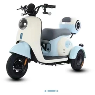 Colors 3 Wheel Motorized Adult Small Electric Tricycle for Philippines