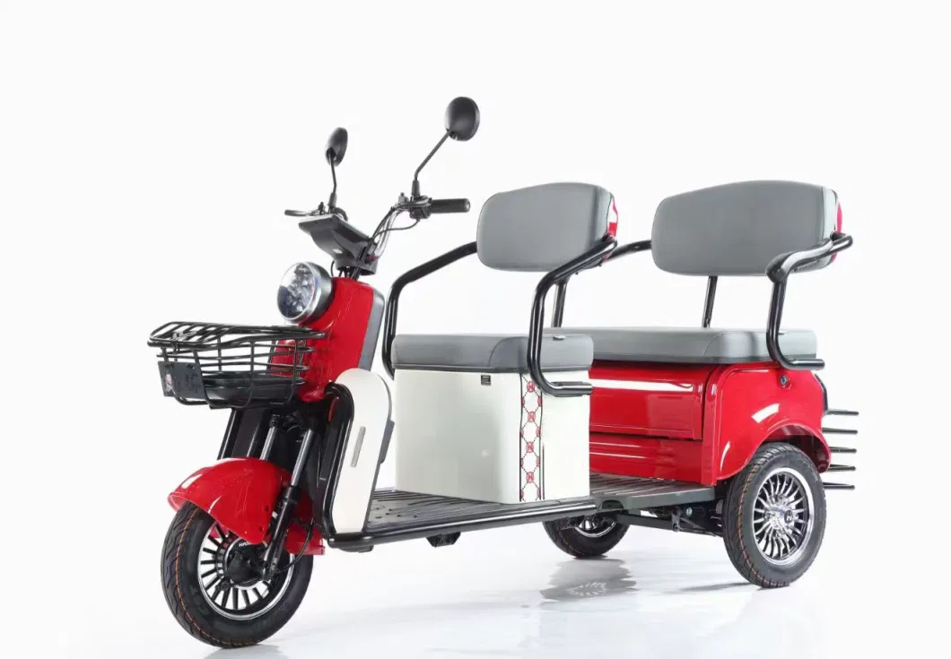 Three Wheels New Design Full Closed Electric Tricycle for Adult Motorcycle