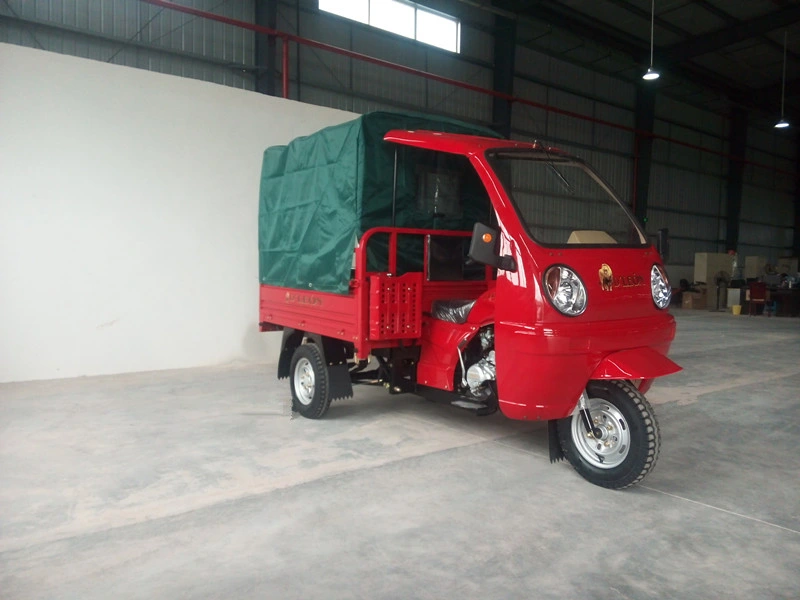 Cargo Passenager Tricycle with Tarpaulin