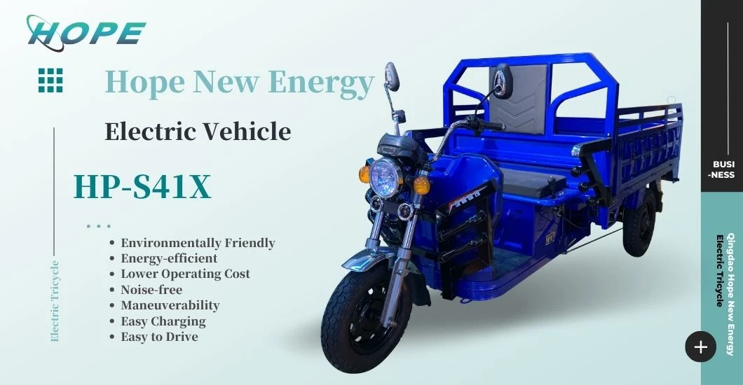 3 Wheels Cargo Bike Electric Tricycle Fat Tire E Trike Motor Electric Cargo Bike Cargo E-Tricycle Ebike