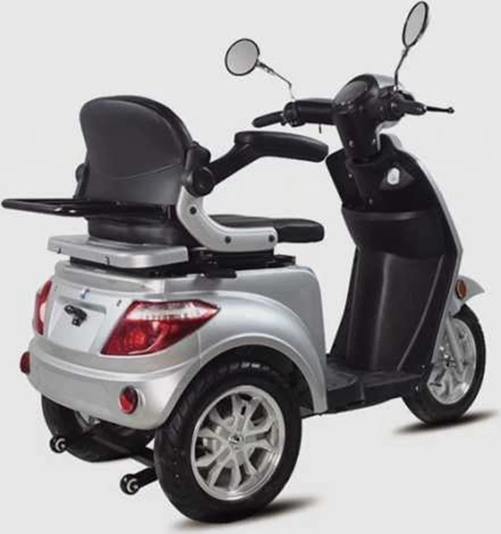 48V 1000W Trike Tricycle with Roof with EEC Certificate